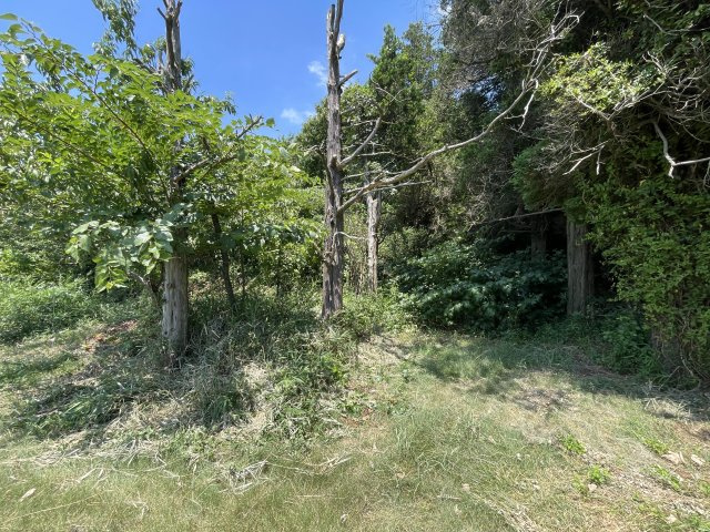 つくば市稲荷原　10年特例用地の前面道路含む現地写真