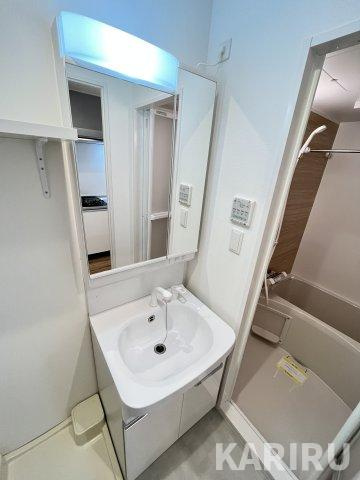 ウインズコート城北パークの洗面所