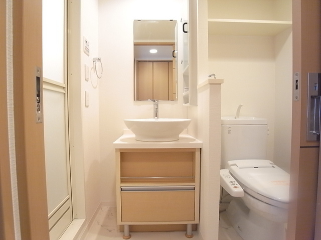 カスタリア三宮の洗面所