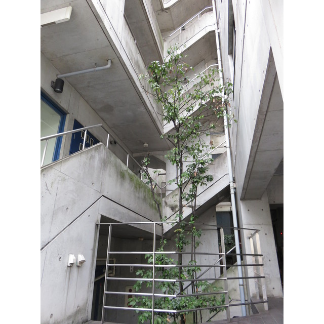 ＡＲＲＯＷ・ＣＯＵＲＴのエントランス|お問い合わせは美濃善不動産駅前店へ！