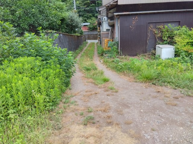 売土地　賀茂郡河津町梨本の前面道路含む現地写真|周辺に日帰り温泉施設や観光地も点在しています。田舎暮らしとリゾート気分を両立出来る環境です。