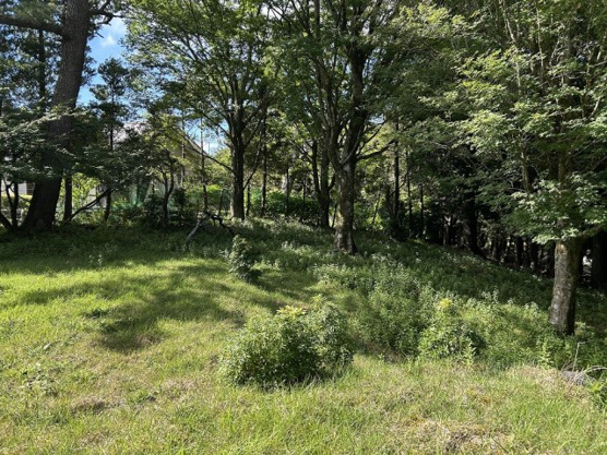 【外観】 | 東急天城高原別荘地　売地