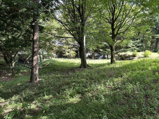 【外観】 | 東急天城高原別荘地　売地