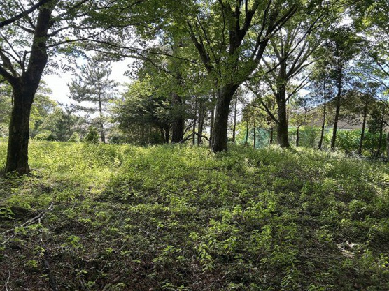 【外観】 | 東急天城高原別荘地　売地