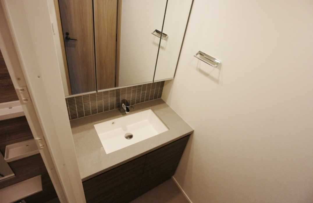 ザ・パークハビオ三軒茶屋　ペット相談可　楽器相談可　オートロックの洗面所