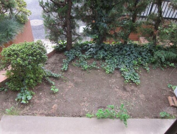 グリーンタウン上井草のバルコニー