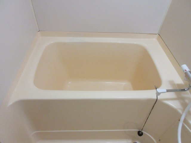 細田マンション第2の浴室