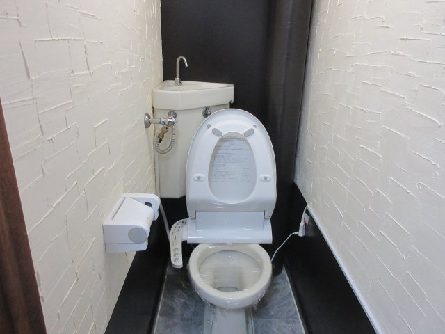 細田マンション第2のトイレ