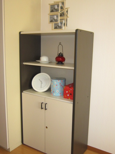 ライザ武蔵境のその他