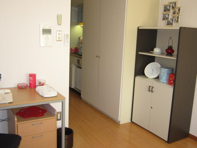 ライザ武蔵境の居間・リビング