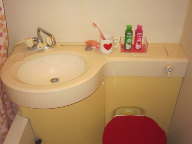 ライザ武蔵境の洗面所