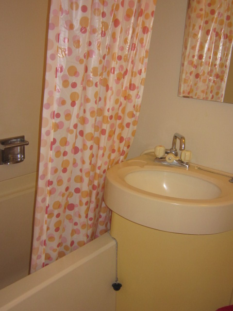 ライザ武蔵境の浴室