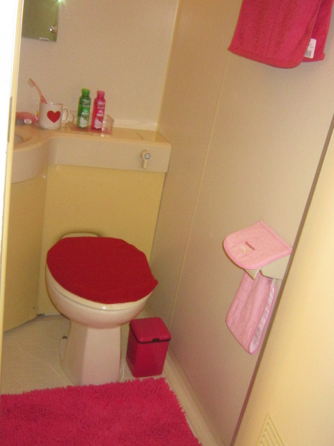 ライザ武蔵境のトイレ