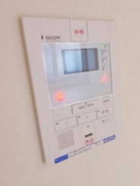 リブリ・ドルフのセキュリティ