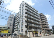 デイム橋本の画像