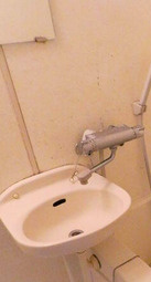 コンシェリア新橋の洗面所