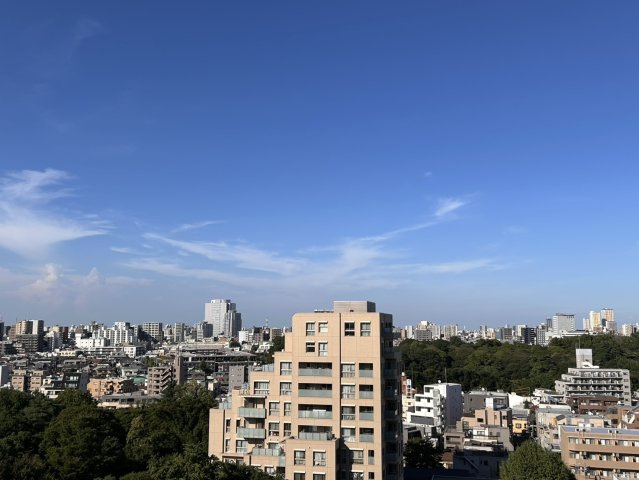 ドミ小石川の展望