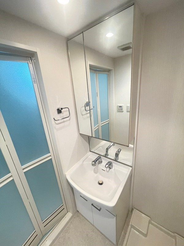 エスリード三宮旭通の洗面所