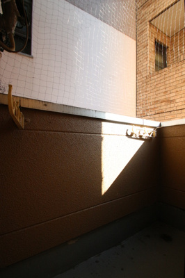 【バルコニー】 | イル・グラッツィア薬院 | 205 バルコニー