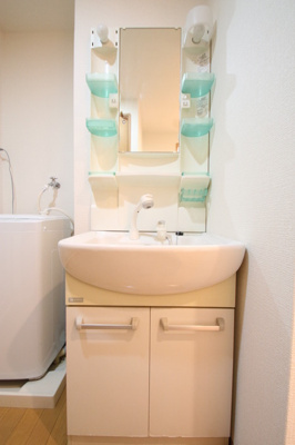  | イル・グラッツィア薬院 | 205 洗面台