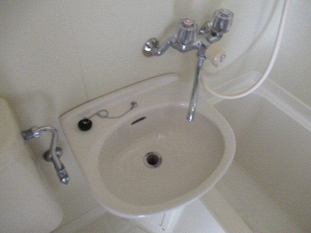 ダイドーメゾン垂水の洗面所