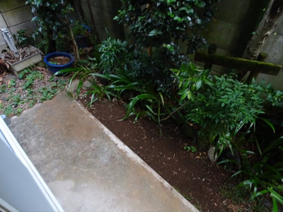 【庭】 | 山口テラス