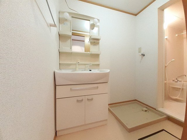 メゾンプラシードⅠの洗面所