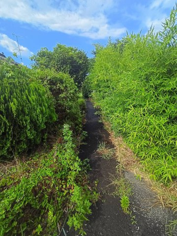 西条市丹原町長野1762-1　売土地の周辺|東側道路（建築基準法外道路）