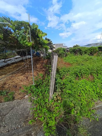 西条市丹原町長野1762-1　売土地の周辺|現地写真　境界（東側）