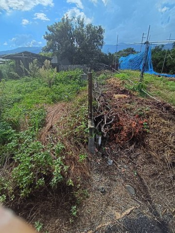西条市丹原町長野1762-1　売土地の外観|現地写真　境界（北側）