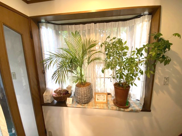 上鶴間本町７丁目　中古戸建のその他|出窓