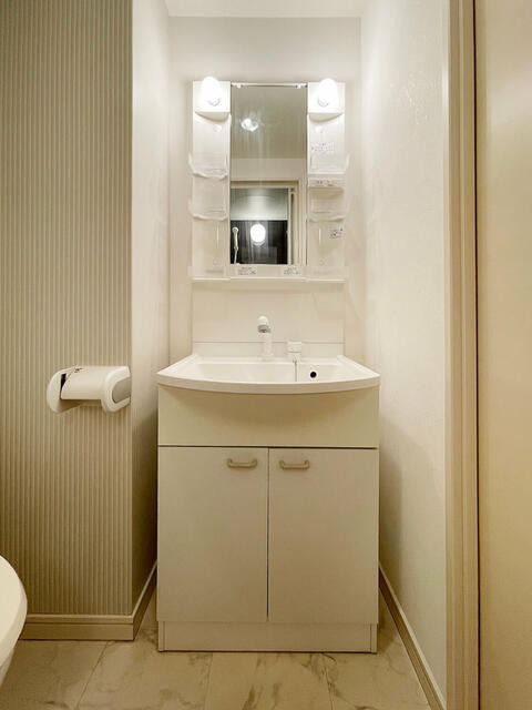 アンビシャスの洗面所