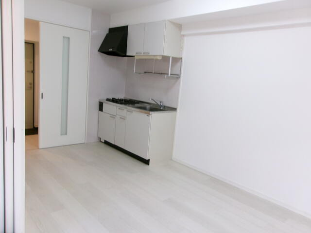 タツミ大橋のその他