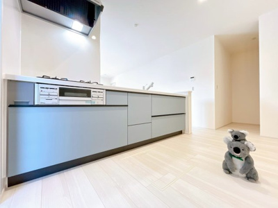 【キッチン】 | 高崎市寺尾町　新築住宅 | 忙しい毎日にうれしい、広々としたシステムキッチン。
パントリーもあるので収納たっぷりで調理器具も調味料もまとめて収納できます。