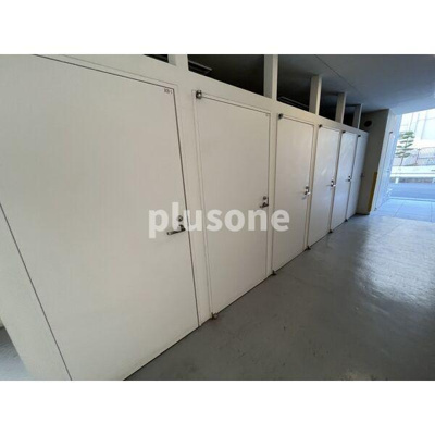  | スプランディッドキャトル