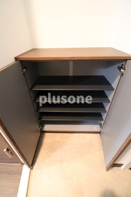  | スプランディッドキャトル