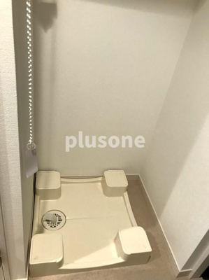  | スプランディッドキャトル