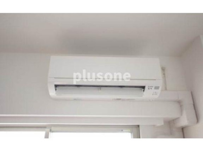  | スプランディッドキャトル