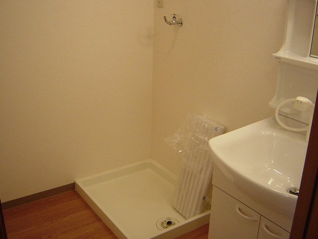 ブルーサンズロックの洗面所|洗面（イメージ）