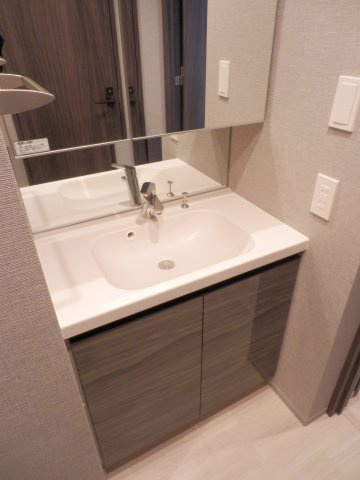 びゅうリエットグラン新宿戸山の洗面所