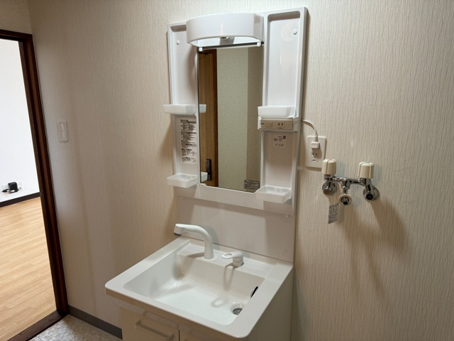 ドミール十條Bの洗面所