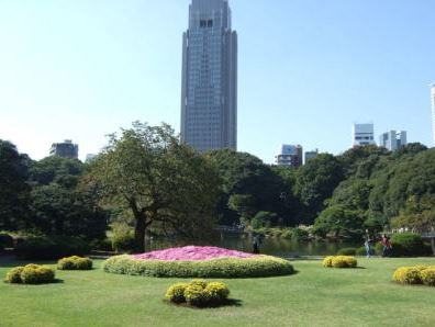 番衆エムエスビルの周辺|新宿御苑