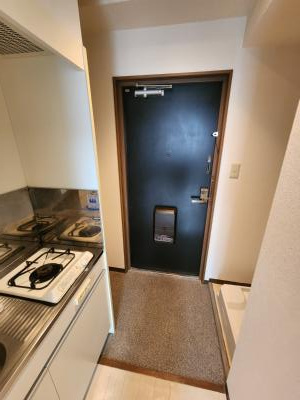 メゾンプリマベーラの玄関