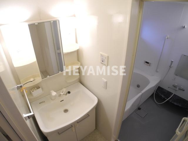 ルミナーレ栄田の洗面所|※室内画像は別号室のもの