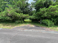 花巻市東和町北成島　売地の画像