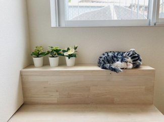 【その他】 | ｆｅｅｌ　ＣｎＢ