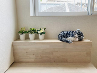 【その他】 | ｆｅｅｌ　ＣｎＢ