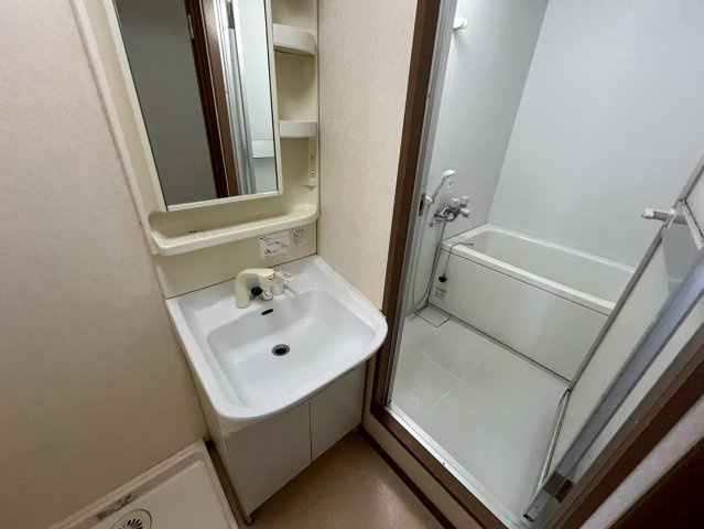 芦屋サウスマンションの洗面所