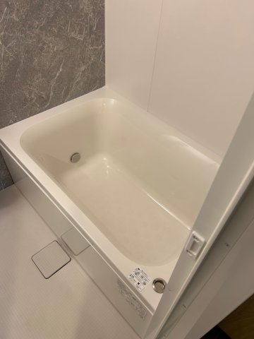 リビオメゾン御茶ノ水EASTの洗面所