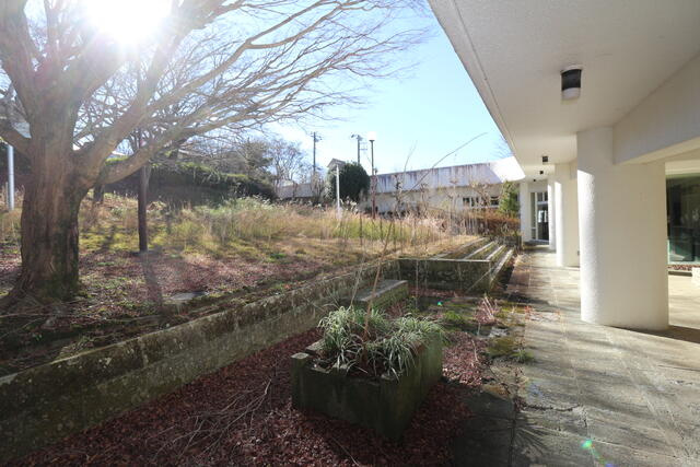 伊豆市熊坂のその他